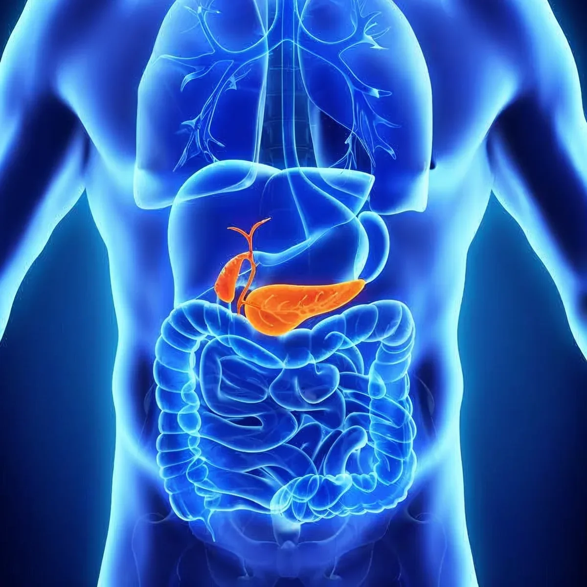 Cirugía pancreática